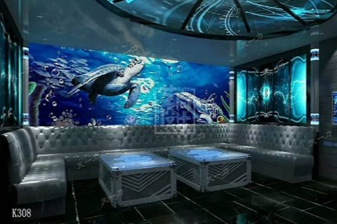 丽水商务ktv新玩法预订-松阳县ktv预订